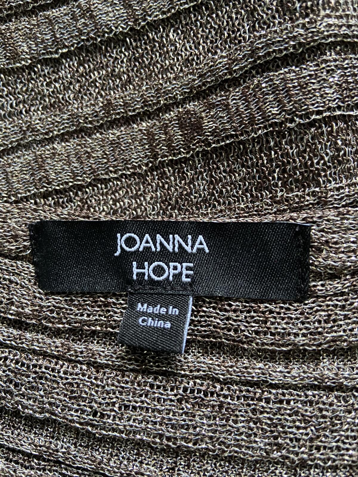 Joanna Hope Gold & Silver Metallic Sheer Glitter Top - Size 8/10